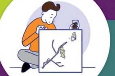 Seeking safety is effectief gebleken voor de behandeling van de combinatie verslaving en trauma-gerelateerde stoornissen bij mensen zonder een LVB. Tactus verslavingszorg, in samenwerking met Trajectum, Pluryn, Radboud Universiteit (het Nijmegen Institute for Scientist-Practitioners in Addiction (NISPA) en het Behavioral Science Institute (BSI)) hebben een addendum ontwikkeld voor Seeking Safety voor mensen met een LVB.