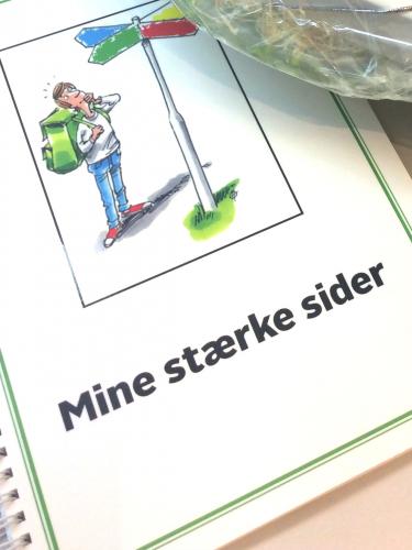 Deense interesse methodieken Trajectum